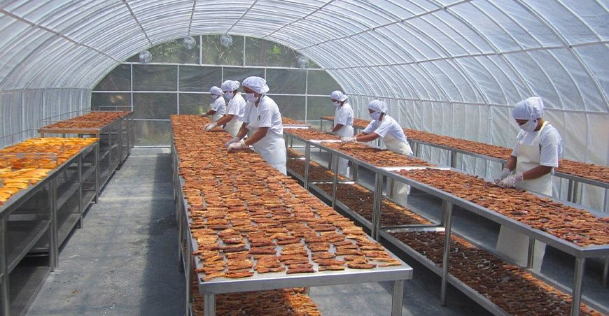 Produce invirtió S/95 millones para financiar más de 1070 proyectos de innovación y desarrollo productivo deshidratación plátanos Perú