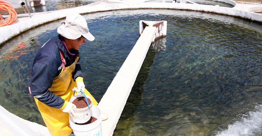 Produce extiende plazo para adecuar infraestructuras pesqueras y acuícolas Perú