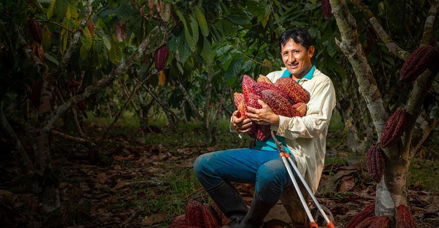 productor de cacao Ruta Alternativa Devida San Martín Perú