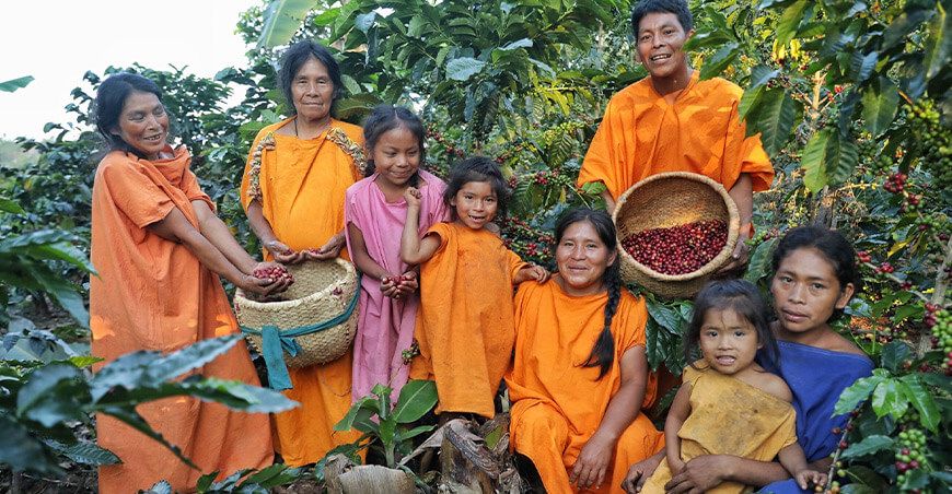 productores de café organización Unión Ashaninka Nomatsigenga del Valle de Pangoa Kanuja Junín Perú