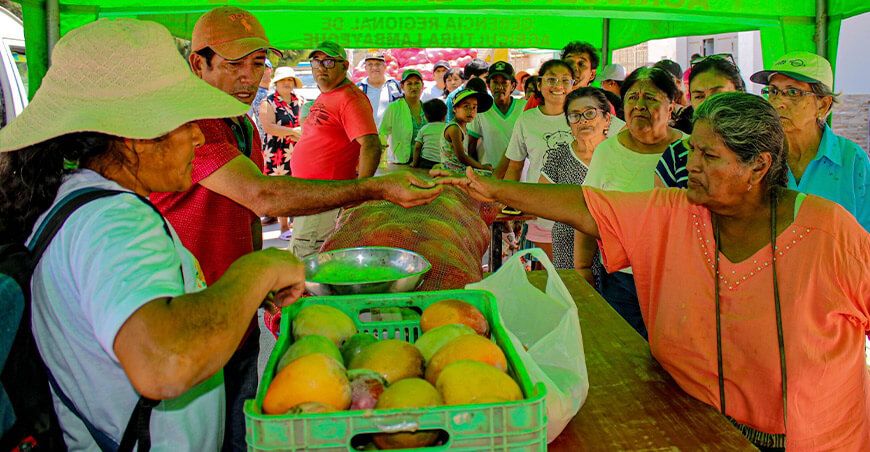 Apoya a los productores de Lambayeque comprando mangos directamente del campo