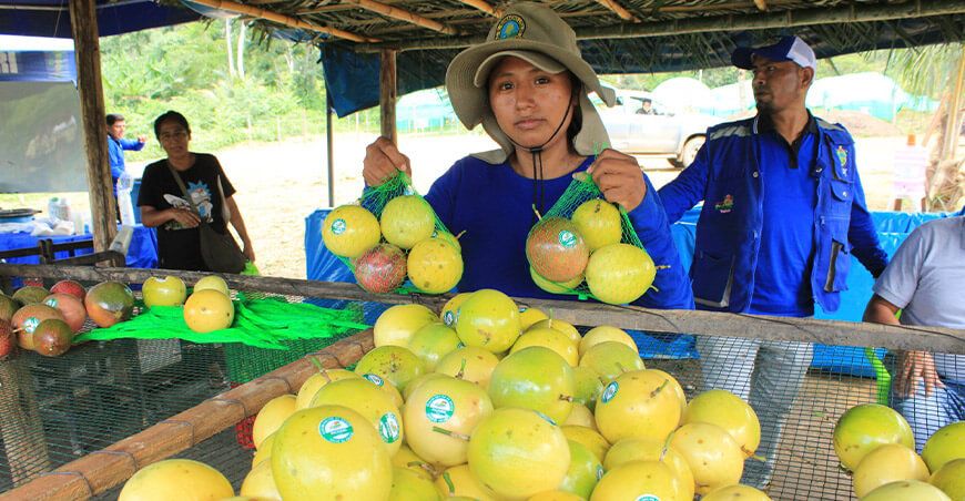 Proyecto Frutales Pichari cultivo maracuyá Cusco Perú