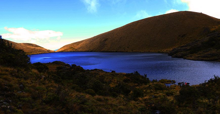Declaran de interés nacional la protección de los páramos y bosques de neblina de Ayabaca y Huancabamba Piura Perú