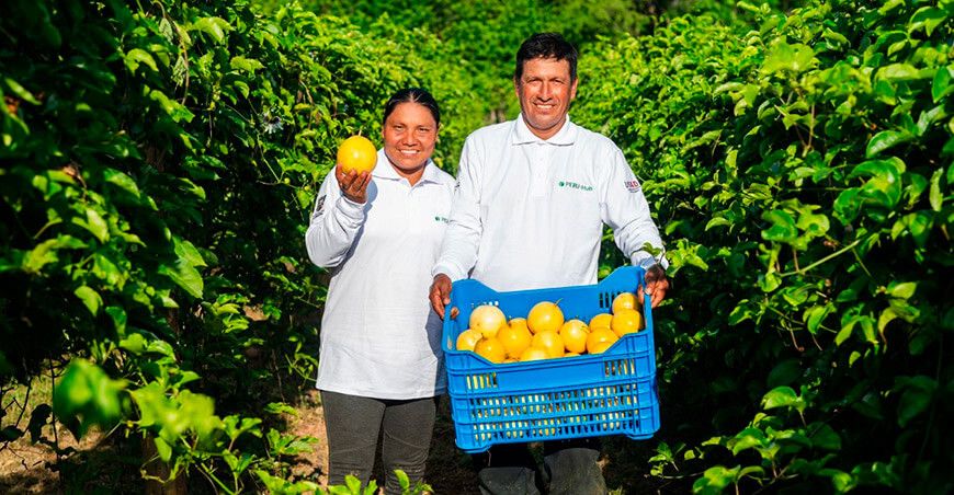 Perú Hub UNALM fortalece producción maracuyá San Martín