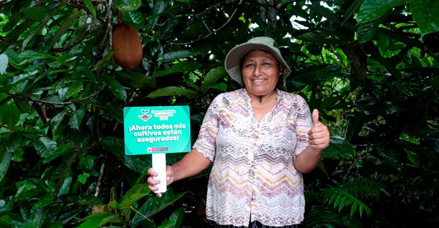 Seguro Agrícola Catastrófico Midagri SAC productores