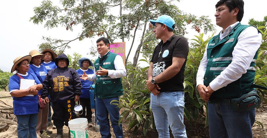 Senasa capacitó a más de 85 mil productores mediante Escuelas de Campo