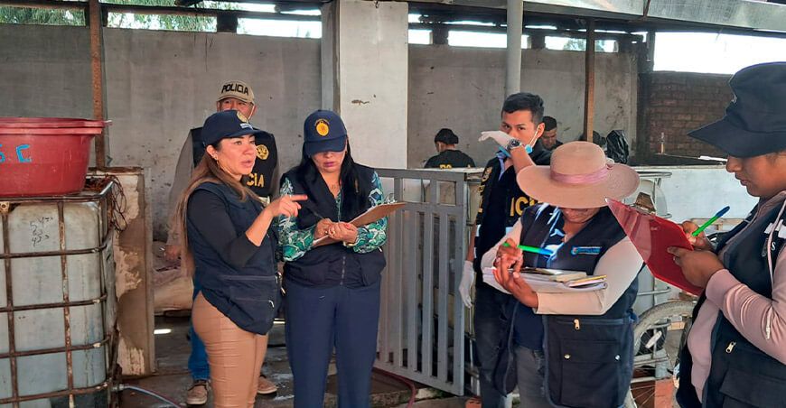 Senasa intervino matadero clandestino en el distrito Sapallanga Junín Perú