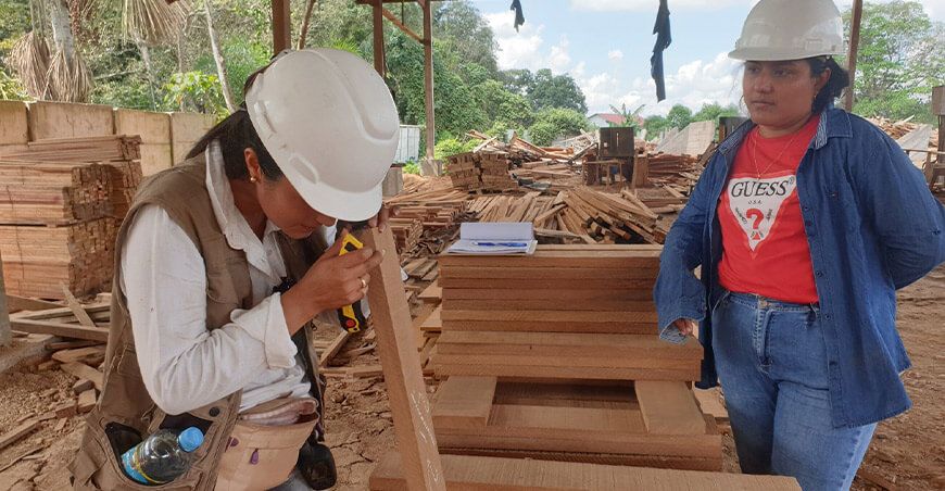 Serfor aprobó declaración de stocks para exportar shihuahuaco y tahuarí