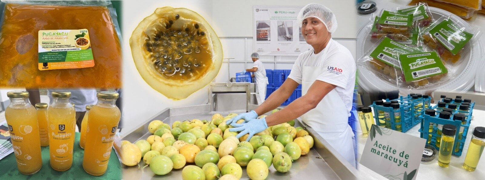 El único centro de procesamiento de frutas maracuyá en la región San Martín de Perú Hub UNALM recibirá certificación HACCP