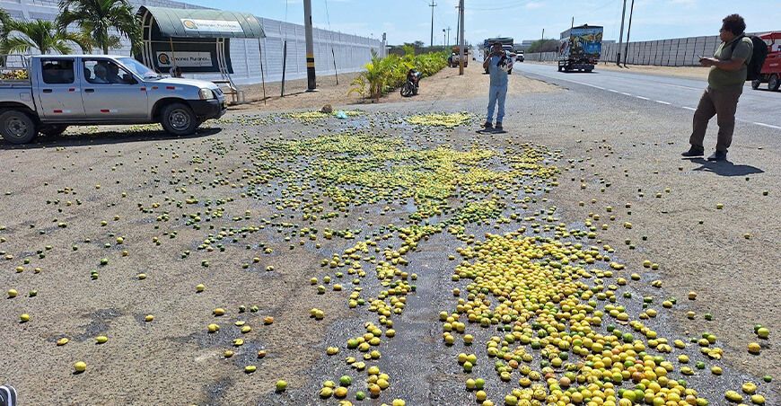 Productores protestan arrojando sacos de limón por bajos precios Perú
