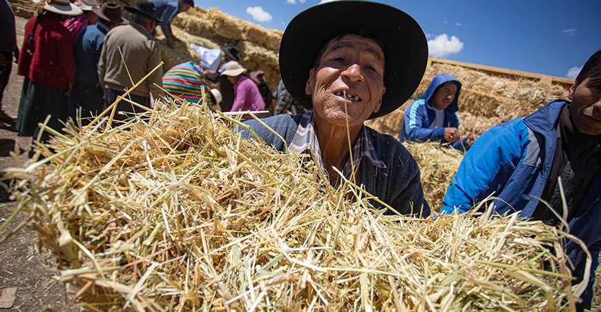 Agro Rural entrega alimento para ganado a productores Ayacucho Perú