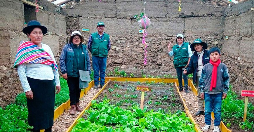 Agro Rural construcción fitotoldos productores de Junín Perú
