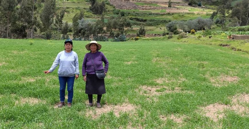 Agro Rural instalación de pastos cultivados Junín Perú