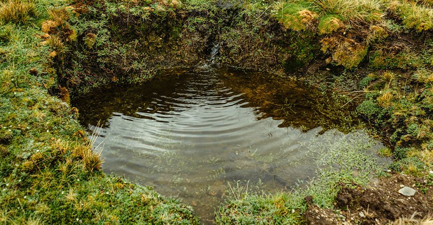 Agro Rural recuperó 100 hectáreas de praderas altoandinas en la microcuenca del río Seco Junín Perú