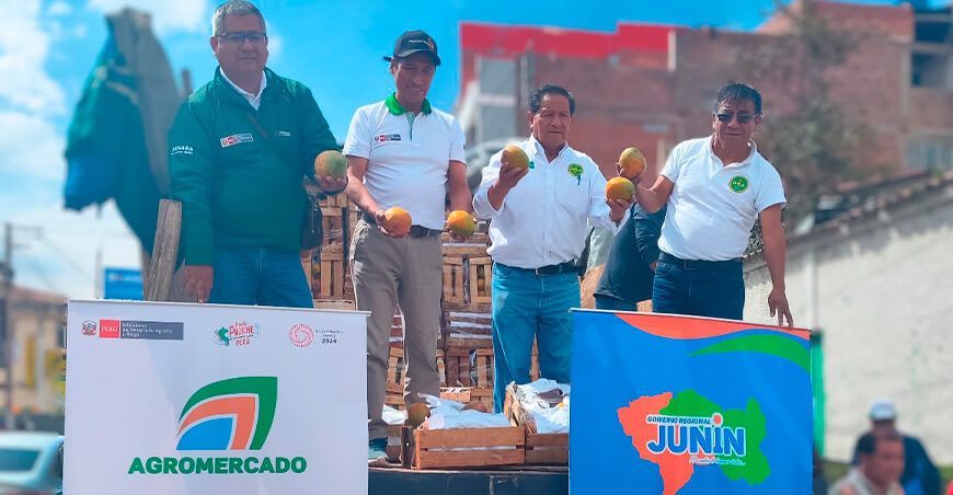 Productores de Lambayeque comercializan nuevo lote de 30 toneladas de mango en Huancayo Junín Perú