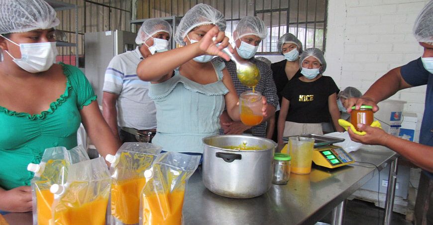 Productores de mango aprenden a transformar su merma en pulpas y mermeladas de alta calidad