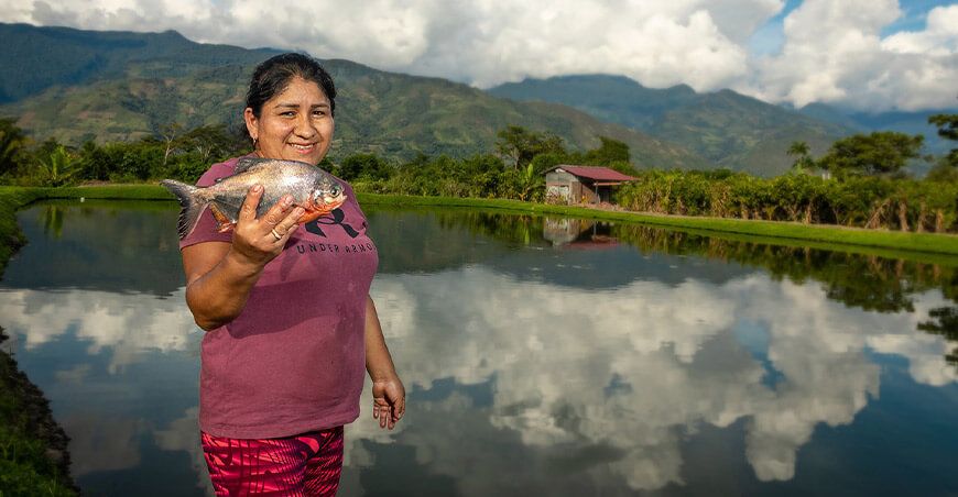 Devida fortalece actividades productivas en acuicultura producción peces amazónicos Vraem Perú
