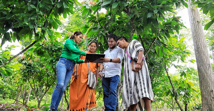 Devida promueve certificación orgánica de cinco cooperativas de pueblos originarios en Junín