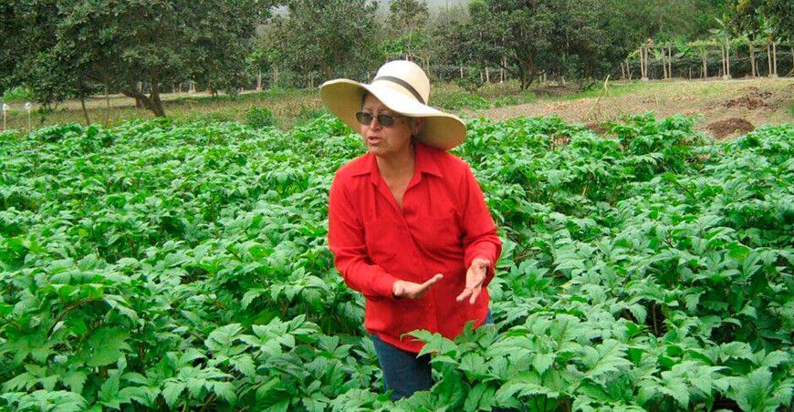 Dra. Carmen Felipe-Morales es condecorada con la “Orden al Mérito de la Mujer 2025”
