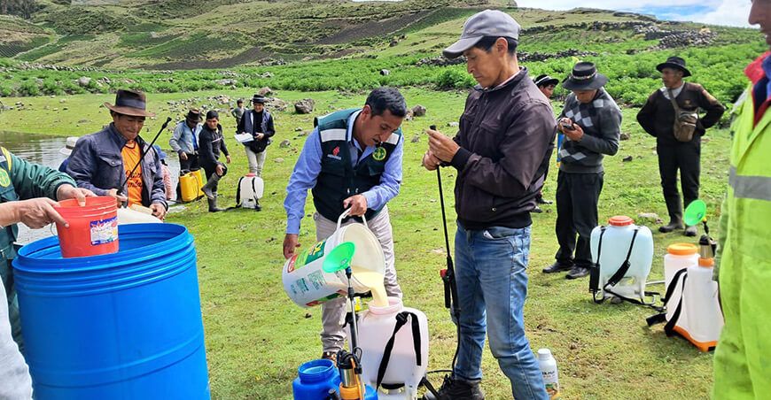 Entregaron abono foliar a productores de cultivo de papa afectados por granizadas en San Juan de Dios en Lircay Huancavelica Perú