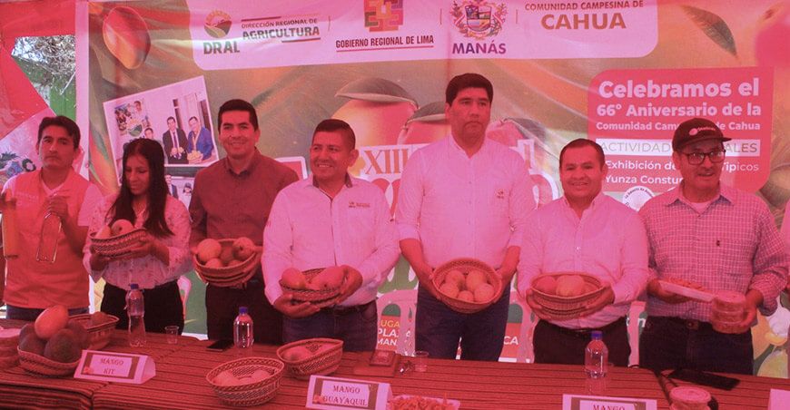 Festival del Mango de Cahua Manás Lima Perú