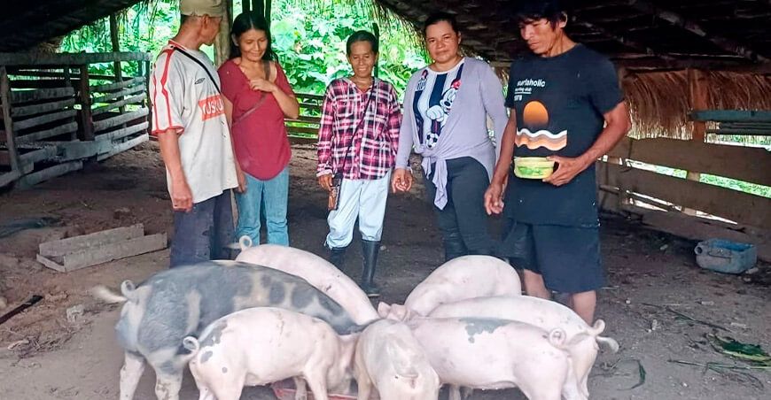 Foncodes proyecto productivo crianza de cerdos Ucayali Perú