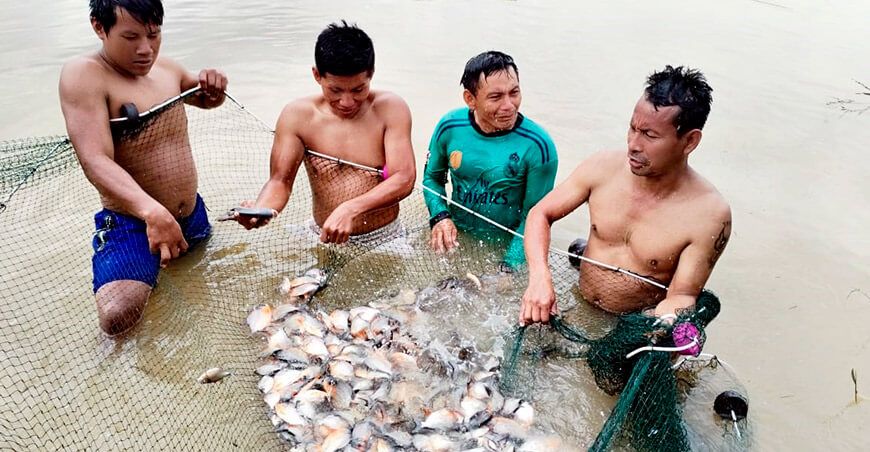 Foncodes proyecto productivo crianza de peces amazónicos Ucayali Perú