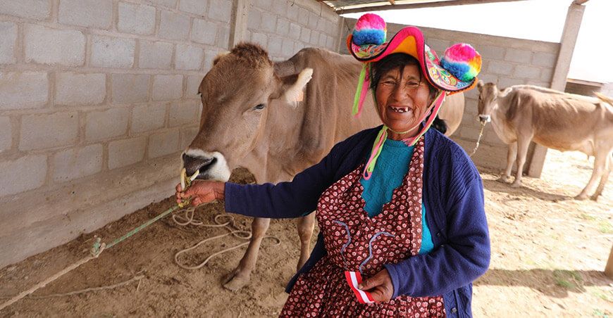 ganadera productoras vacas leche Perú