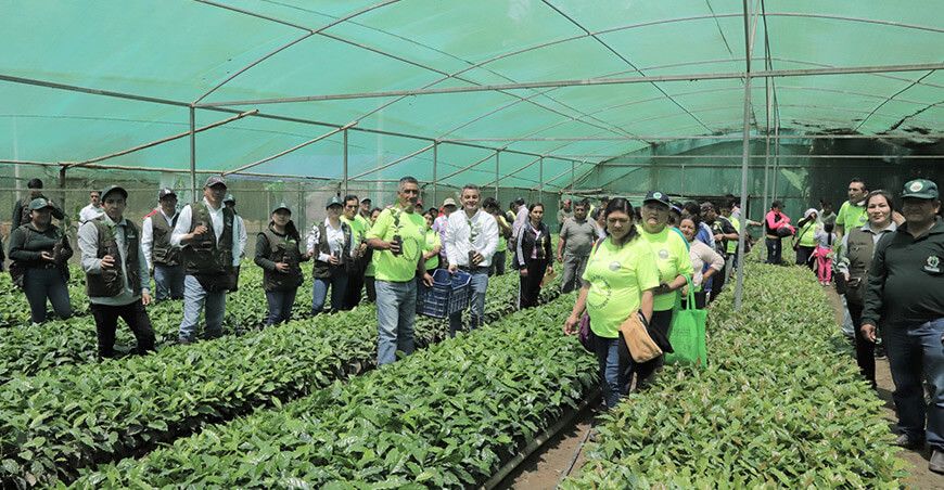 plantones de café a productores de Bongará Amazonas Perú