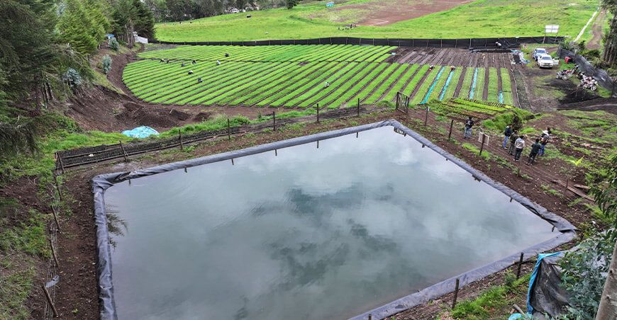 GORE Cajamarca producción plantones de pino reforestación Hualgayoc 