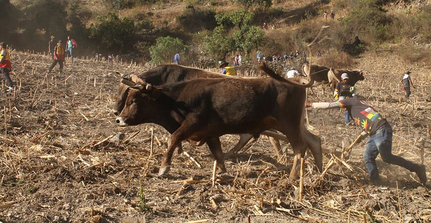 campaña agrícola siembra productores de Huancavelica Perú