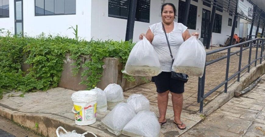 IIAP entregó alevinos a pobladores de comunidades a amazónicas Perú