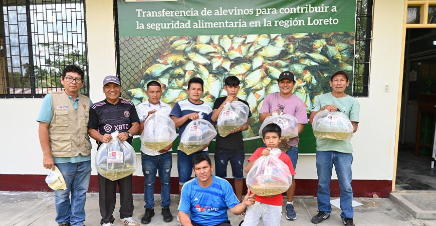 IIAP distribuyó 333 millares de alevinos a 255 familias de comunidades amazónicas Perú