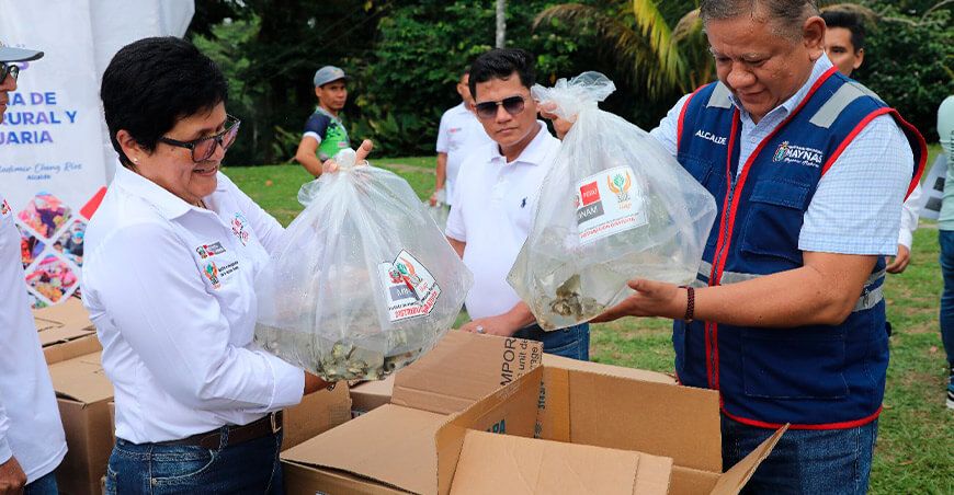 IIAP transferencia alevinos comunidades nativas Loreto Perú