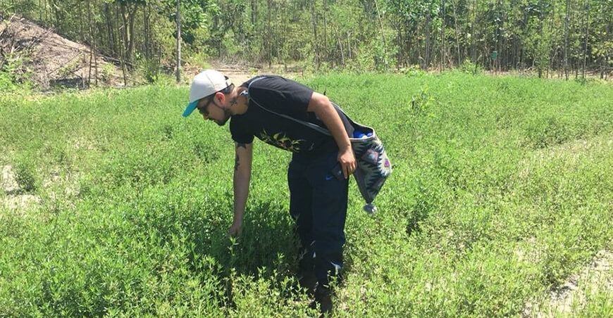 IIAP Perú restaurado 50 hectáreas degradadas en Madre de Dios con especies como shiringa y castaña