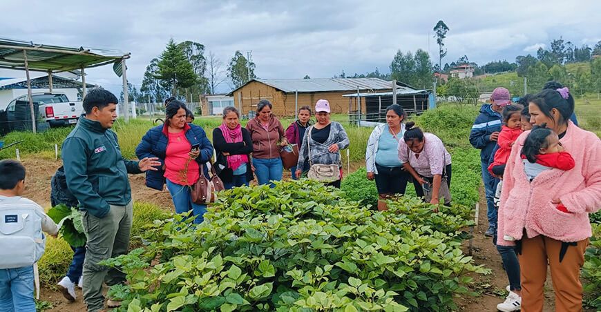 INIA transfirió tecnologías a productoras para mejorar la calidad genética del cuy