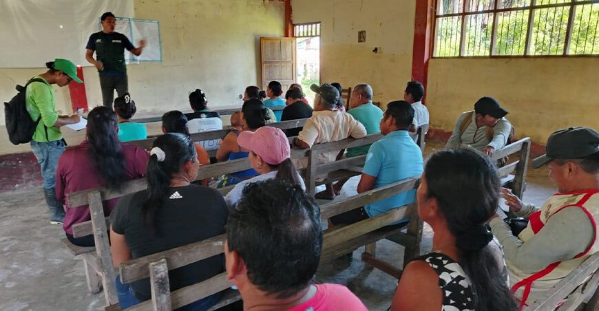 Productores mejoran calidad genética de maíz amarillo, hortalizas y cacao con nuevas tecnologías San Pablo Loreto Perú INIA