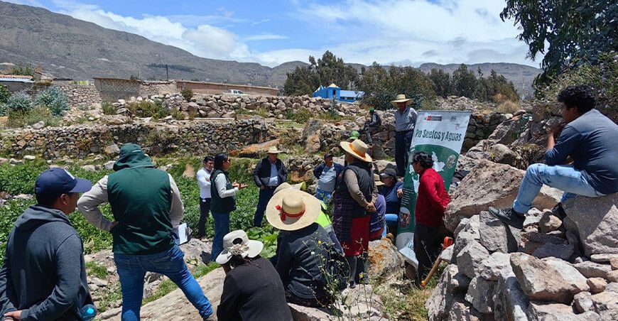 INIA transfirió tecnologías agrarias para mejorar la calidad genética de la papa Canchán en Arequipa Perú