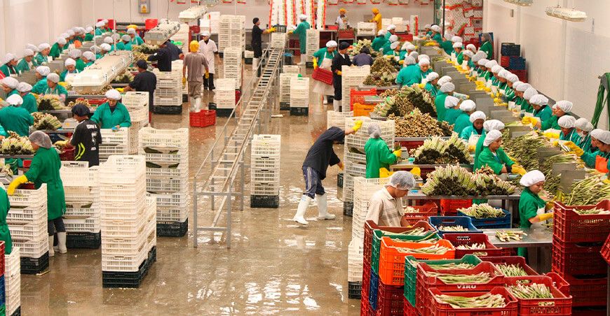 Perú agroexportaciones espárragos peruanos