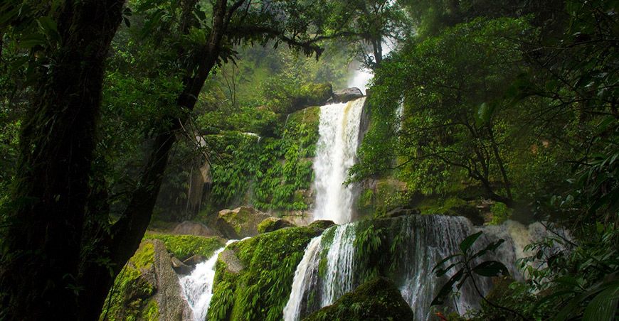 Perú avanza en la acreditación de estándares internacionales para reducir emisiones de carbono

