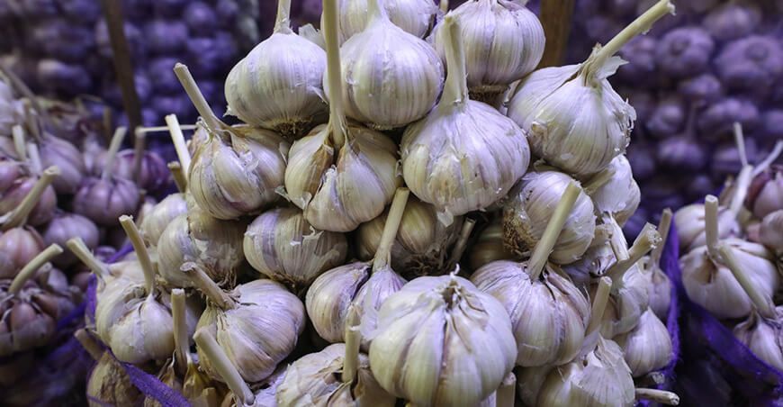 Perú Exportación de ajo peruano
