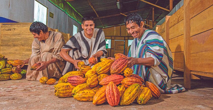 productores nativos de cacao