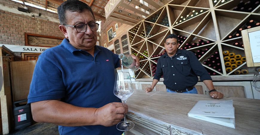 Declaran Patrimonio Cultural a los conocimientos, técnicas y valores en la producción del pisco Perú