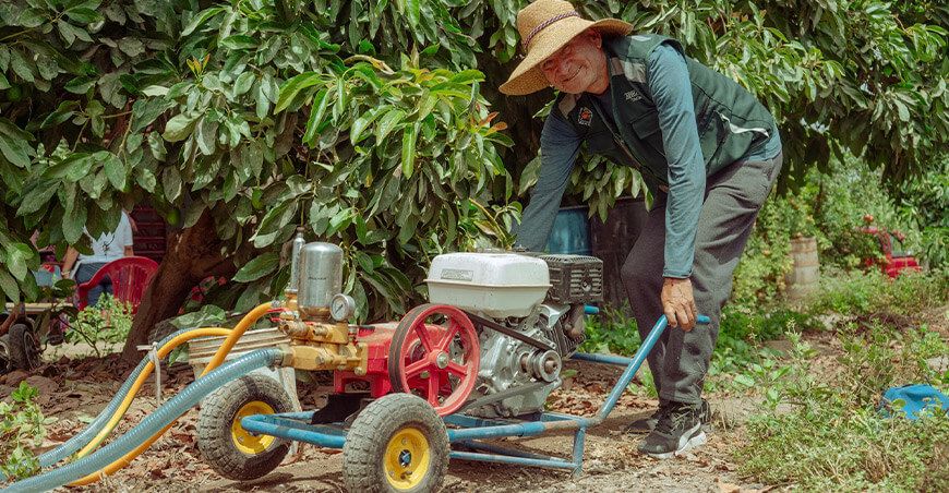 Procompite Tacna fortalece la producción de palta Hass de productores asociados de Afrutac