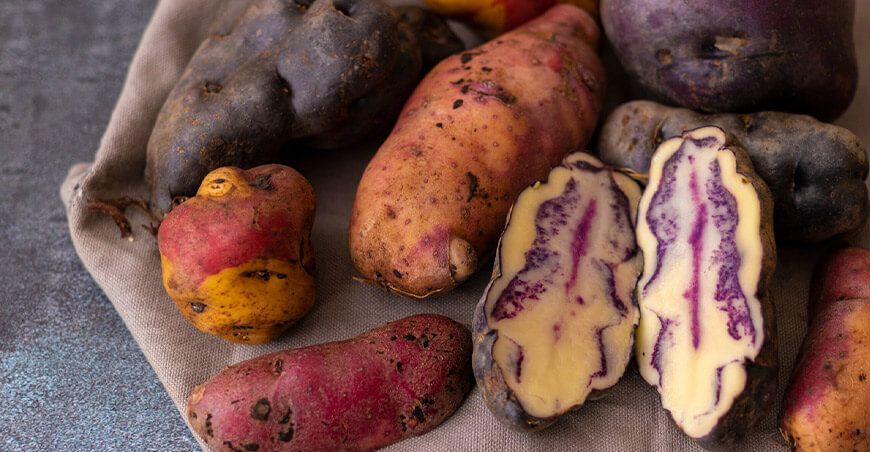 Cooperativa Agraria Nueva Esperanza de Ranchopampa (Patala) de Junín dende papas nativas a Tiyapuy Perú