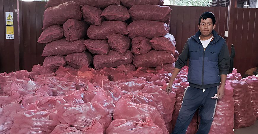 Cooperativa Agraria Nueva Esperanza de Ranchopampa (Patala) de Junín dende papas nativas a Tiyapuy Perú