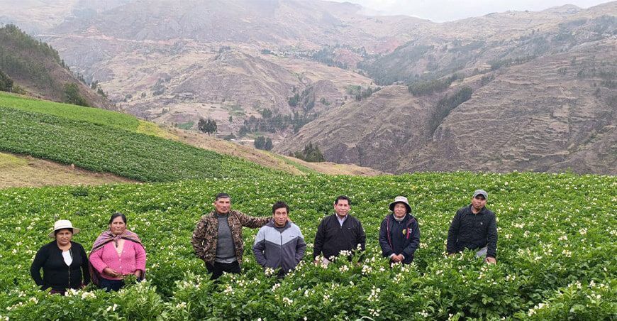 Productores de cultivo de papa de Huancavelica Perú