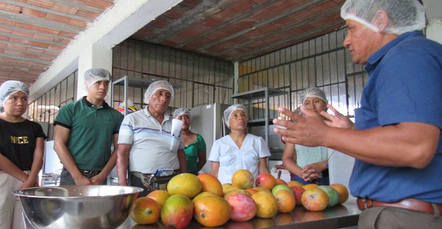 Productores de mango aprenden a transformar su merma en pulpas y mermeladas de alta calidad Lambayeque Perú