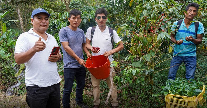 Proyecto Café transforma la producción de 2991 familias de Huánuco