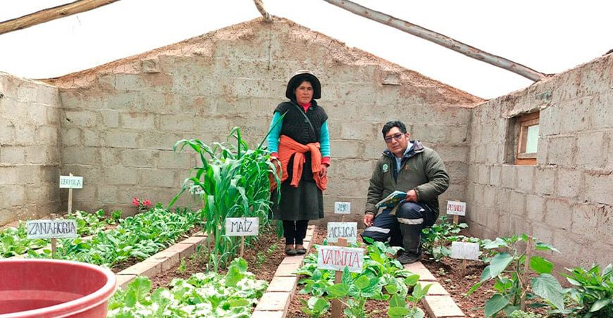Monitorean infraestructuras productivas de hortalizas y crianza de animales menores Puno Perú
